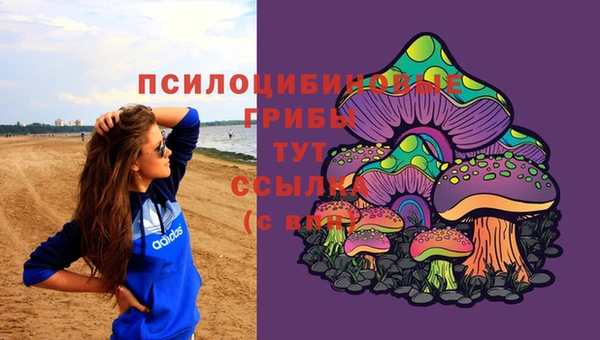 ECSTASY Баксан